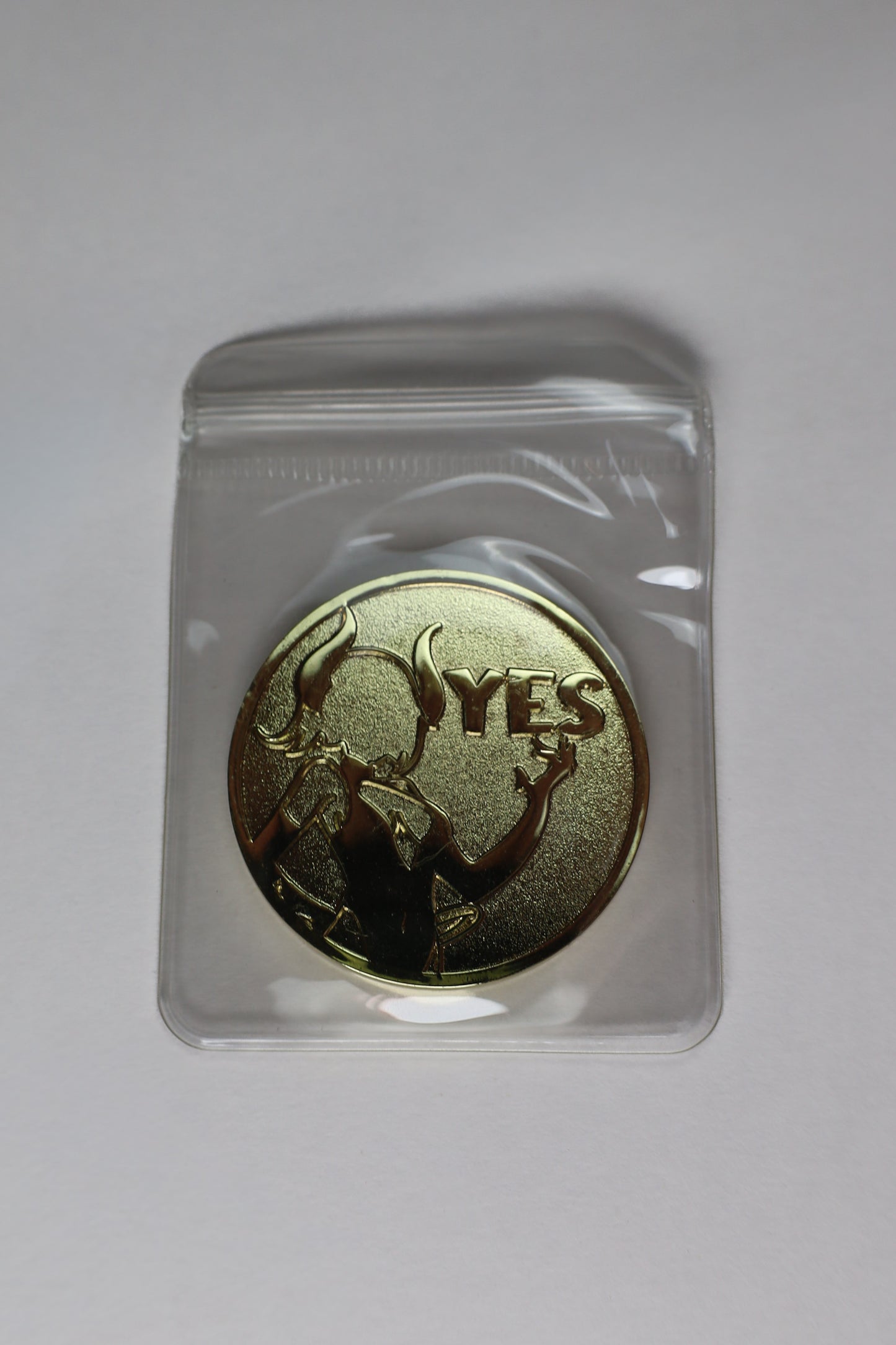 Yes/No Succubus Coin